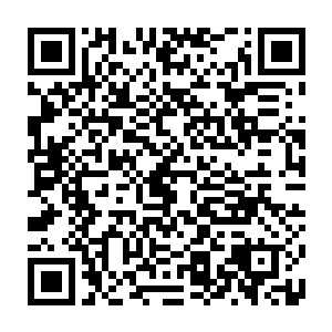 你不吃不喝不睡大哭大闹不就是想让我们放松警惕然后给你逃跑的机会吗二维码生成