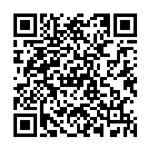 你不是说一直想见见潜龙财富榜上排第一的那个家伙是谁吗二维码生成
