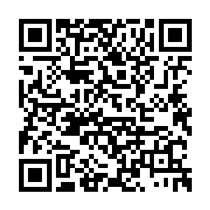 你不是说你现在住的房子是你家亲戚的朋友的吗二维码生成