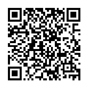 你不是说我现在的实力基本可以和释无量打一场吗二维码生成