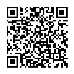 你不是说这个东西是我们离开这个地方的关键吗二维码生成