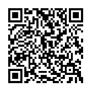 你不知道李妃是君不离最宠也是唯一宠的妃子吗二维码生成