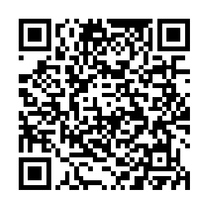 你不知道zdc电视台每天开户数据和关户数据我都有报表二维码生成