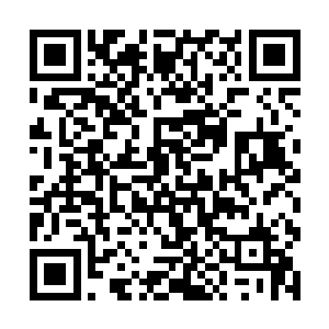 你不肯帮我……害的我的子孙损失了一百多年的运气二维码生成