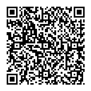 你不能否认我们在今后相当长一段时间里都会把经济指标作为考核一个地方党委政府工作能力和业绩的主要内容二维码生成