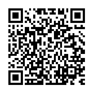 你不能因为他们的这次失败而剥夺了他们加入特种部队的资格二维码生成