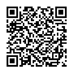 你不能因为我们没有交付其他残骸就大幅度压价吧二维码生成