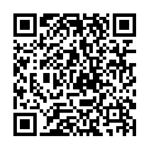 你不要以为你不说我们就不知道你的幕后主使人是谁二维码生成