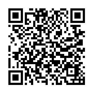 你不陪着你那两位爱妃在这一界过风风光光的生活二维码生成