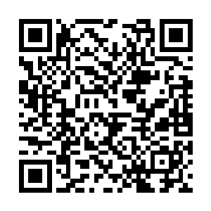 你丫的都已经跟本大人签订了永生永世的不解契约二维码生成