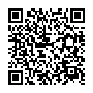 你为什么不让罗素或者希斯去参加一下史蒂文的试镜呢二维码生成