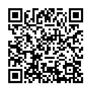 你为什么要逼自己去过这种你并不喜欢的生活呢二维码生成