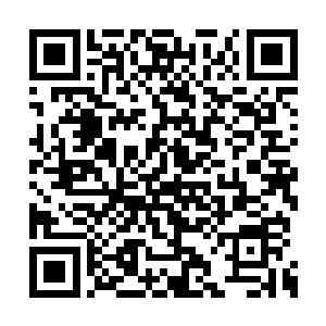 你为什么让我生了这么两个畜牲一般的不孝之女二维码生成