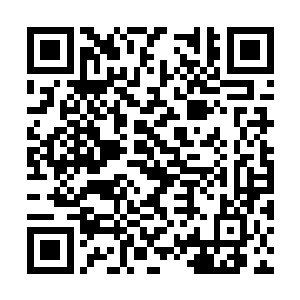 你之前为什么连一声招呼都不和父王打就离开了家二维码生成