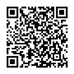 你之前出去打工一个月赚的钱都不够我出去吃一顿饭的二维码生成