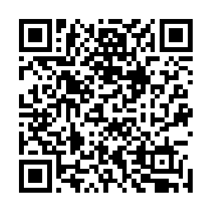 你之前晋到练气七层时我不是已经送了你一件上品法器了吗二维码生成