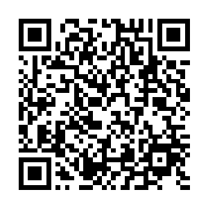 你之前的体内已经融合了真龙和金乌这两种至刚至阳的血脉二维码生成