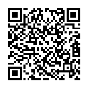 你也不应该编造那样一个无厘头的谎言來欺骗我吧二维码生成