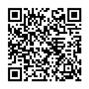 你也不知道我是多么想在自己家门前混出个模样来二维码生成