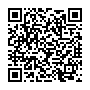 你也不知道自己的选择究竟会给人类文明带来什么二维码生成