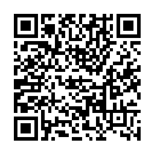 你也不知道那一层迷雾背后也许就是一支冷箭飞来二维码生成