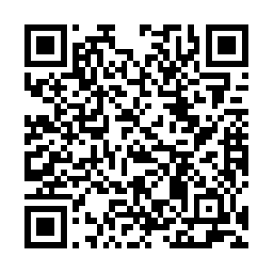 你也不能干涉王都的城防事务……你是白河谷地的领主二维码生成