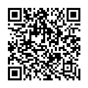 你也亦不能反其道而行……以你聪慧的天资以及妖孽的资质二维码生成