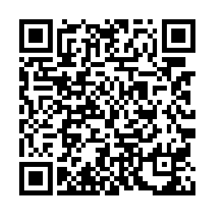 你也应该知道这龙天啸为何这么对你充满敌意了二维码生成