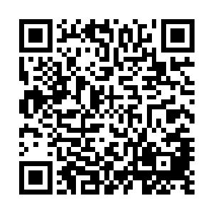 你也收到的厄瑞玻斯金并以及你身上的追踪器就是最好证据二维码生成