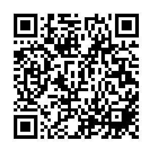 你也是元灵法宝的器灵……你是纯阳法宝的器灵二维码生成