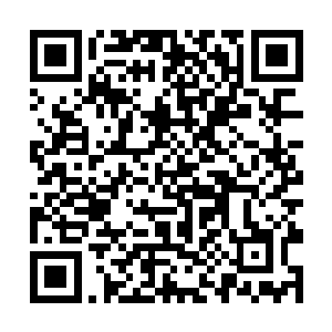 你也是申请过其中一部分的……马主任都支持的项目二维码生成