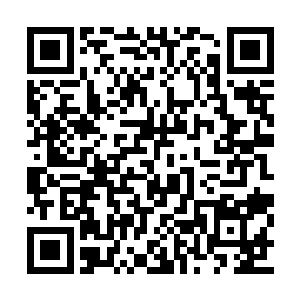 你也要先塞进人家肚子里或者和身体接触才行啊二维码生成