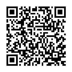 你亲眼看见自己的身体被一把剪刀一点一点慢慢揉碎的痛苦吗二维码生成