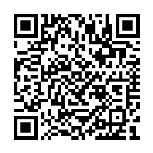 你什么时候把小小和小羽这两个小天使给上了呢二维码生成