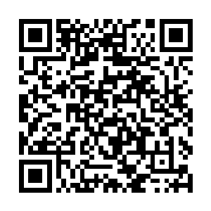 你今天可没本事再从郭跃那儿拿到买birkin包的票子了二维码生成