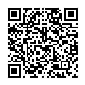 你从仙行星弄来的那根十几丈长的红晶柱子扔进去了还不够二维码生成