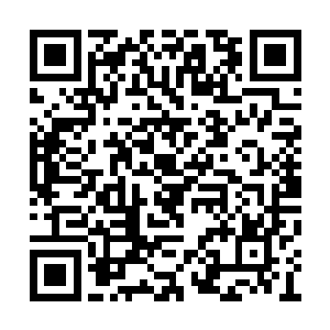 你从小的时候就依胡烈的命令到各大门派当卧底二维码生成