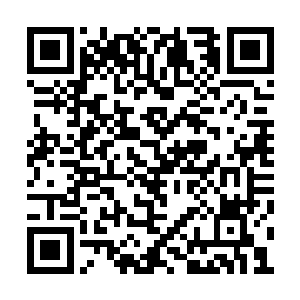 你他吗的居然一棺材直接把兵之天脉给砸回家了二维码生成