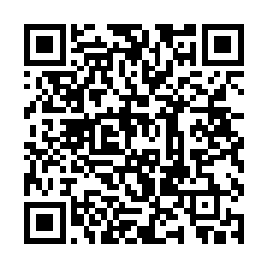 你他妈的在萨米拉面前把我卖了你以为我不知道……二维码生成