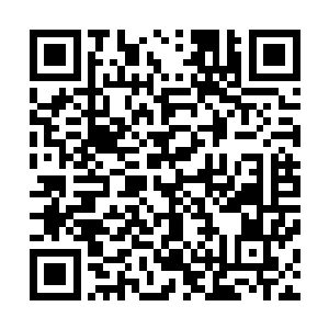 你他娘的要不装逼小爷我还能够勉为其难的将你当个人看待二维码生成