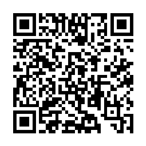 你以为他会放任我们带着这么危险的东西进入金晶塔二维码生成