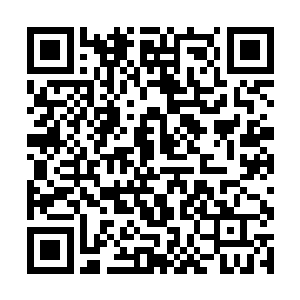 你以为你不说我就不知道你把白灵珠藏在什么地方了二维码生成