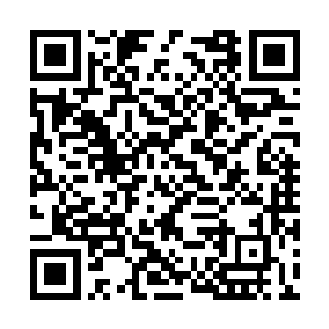 你以为你们化外之地的仙家在我们天城计划失败了二维码生成