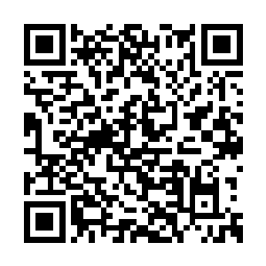 你以为你们阿修罗这些年来在外界做的孽还少吗二维码生成