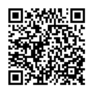 你以为你会遇到医术实力评判前五位的那个萨满祭司吗二维码生成