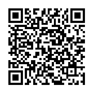 你以为你到手的东西就是真的凤血菩提和凤尾花么二维码生成