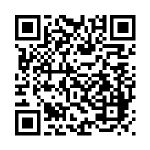 你以为你是什么样子我们会不知道二维码生成