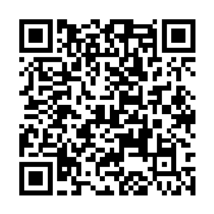 你以为你的这位女保镖还能完好无损的站在这里么二维码生成