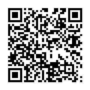 你以为你那身毛里藏的那几张牌别人真看不出来是吧二维码生成