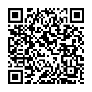 你以为凭借你三言两语尊使大人就什么都不调查直接斩杀我二维码生成